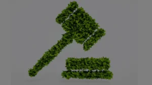 Legislação ambiental; como acompanhar as mudanças nas leis?